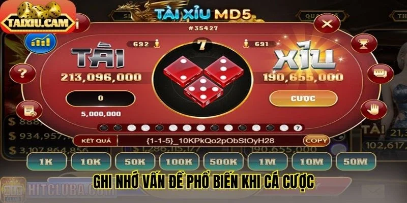 Ghi nhớ vấn đề phổ biến khi cá cược