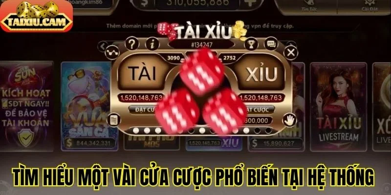 Tìm hiểu một vài cửa cược phổ biến tại hệ thống